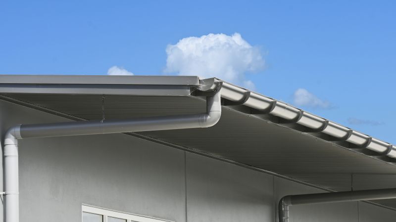 Gutter and Roof System Care